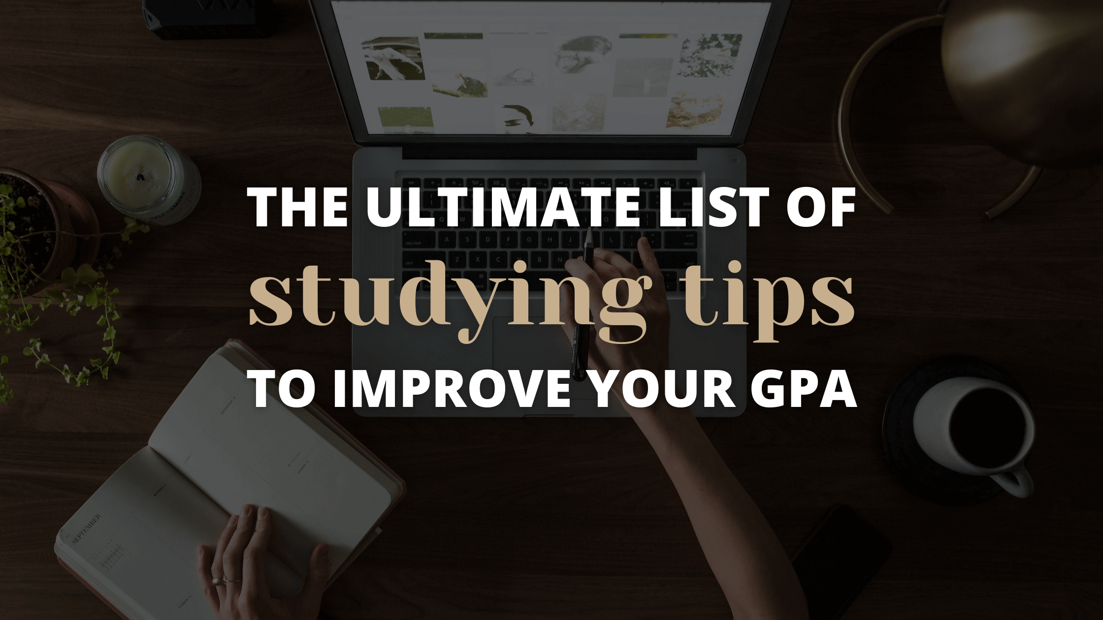 15 Amazing And Realistic Study Tips To Significantly Improve Your GPA ...