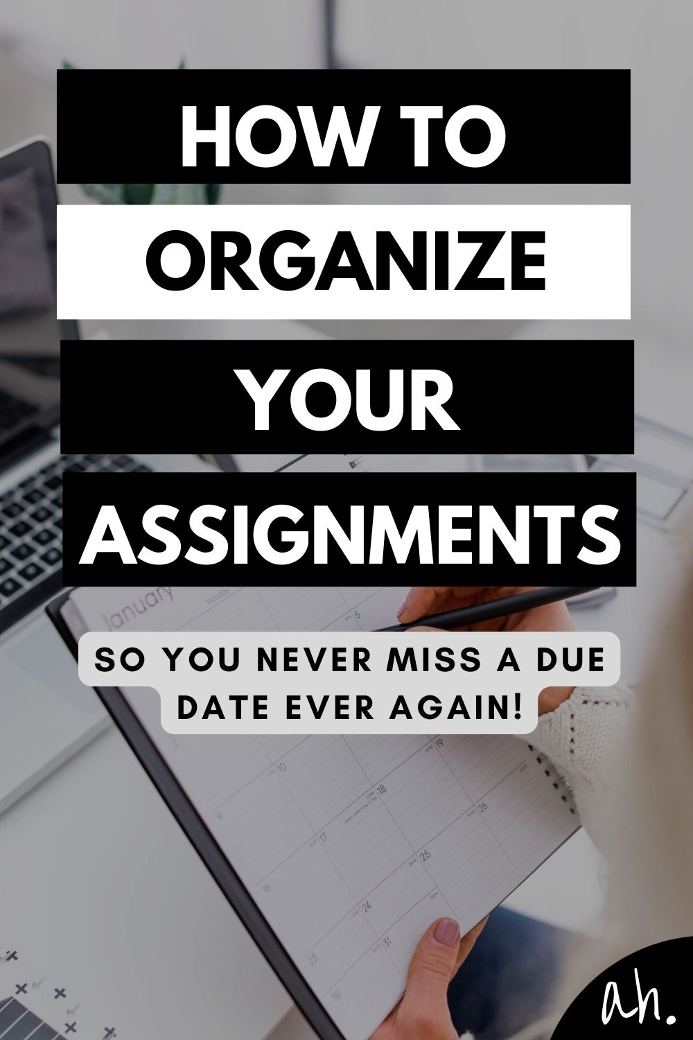 organize school assignments